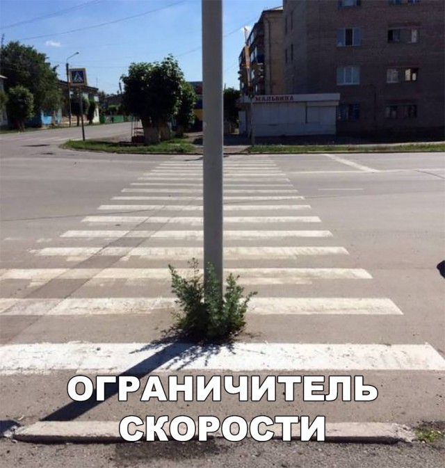 Нестандартный юмор