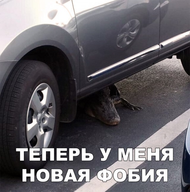 Нестандартный юмор