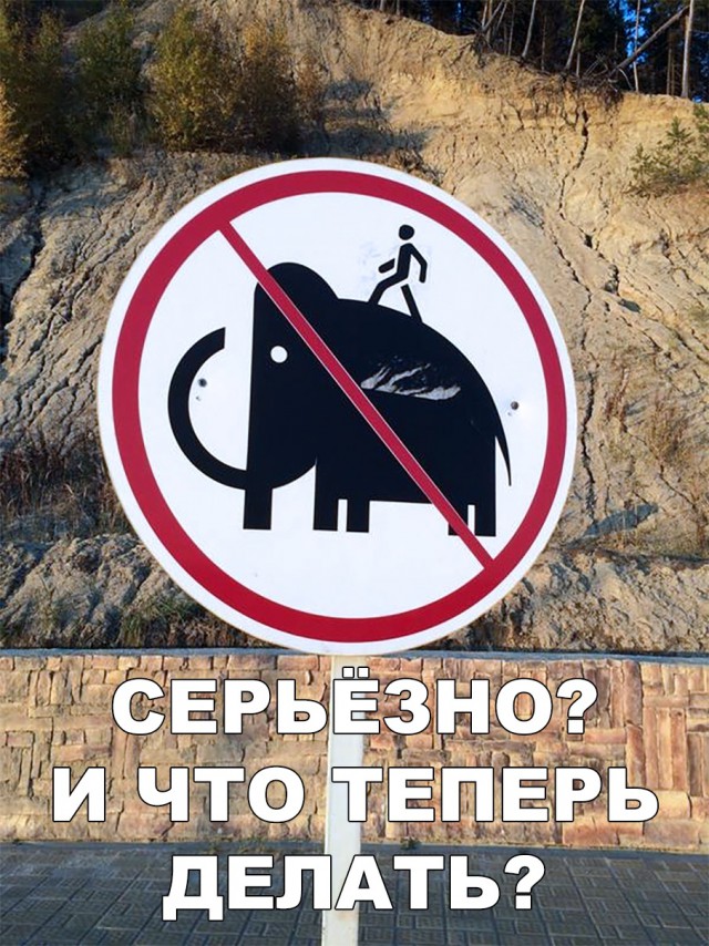 Нестандартный юмор