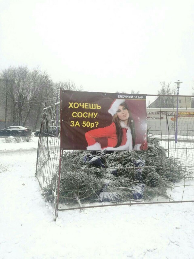 Прикольные надписи и объявления
