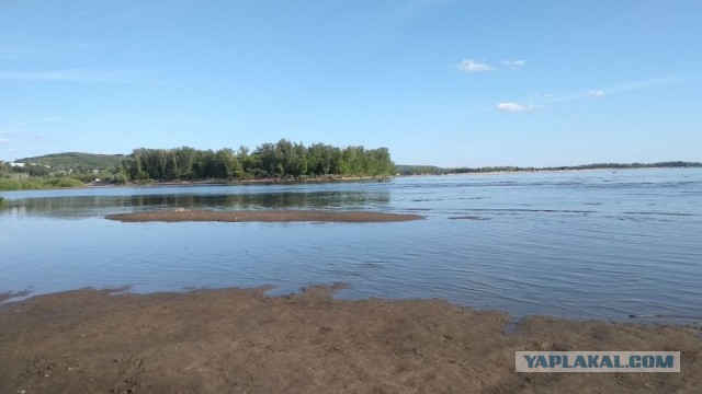 Волга убывает, рыбы умирают: в Самаре назрела экологическая катастрофа