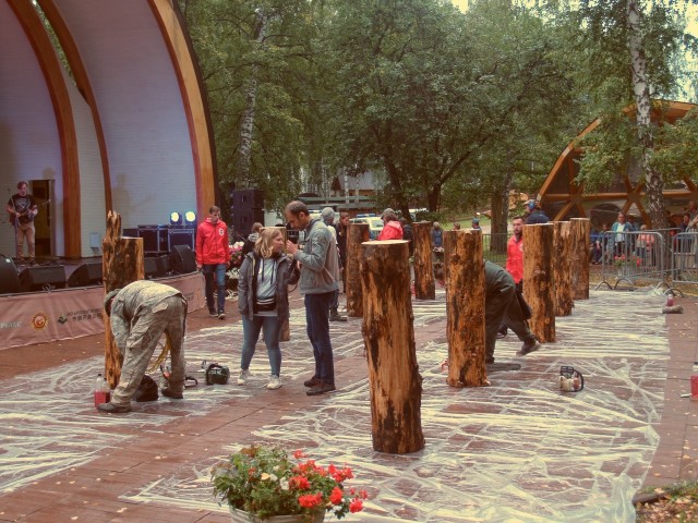 Божья коровка