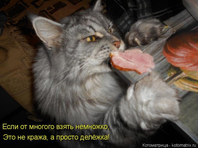 Москвичи, учитесь!