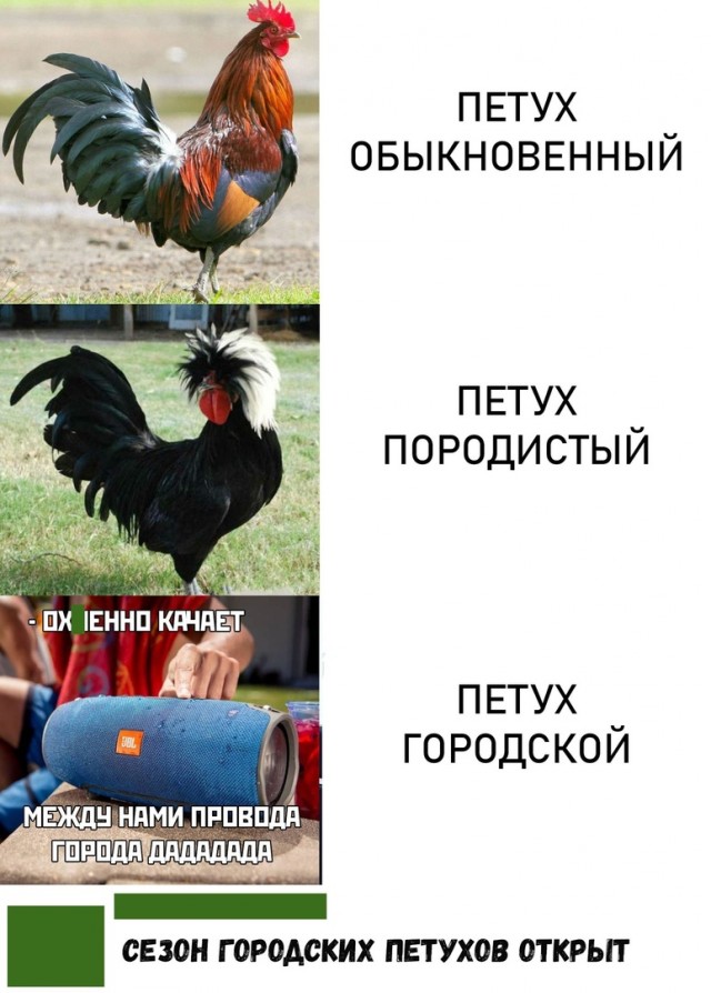 Снова 25 кретинизмов из сети 03.06.2020