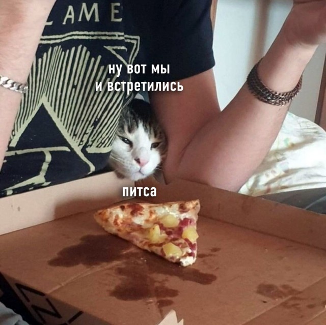Про котикоф