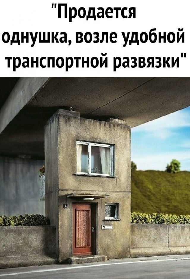Фотки и картинки: юморные и красивые, забавные и милые 30.10.20