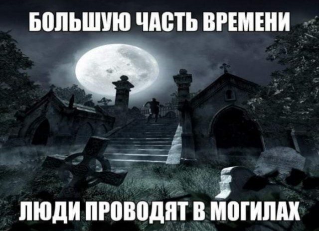 Не очень адекватный юмор
