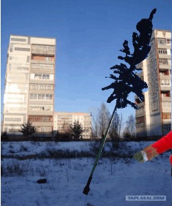 У нас в городе поставили ЙОЛКУ