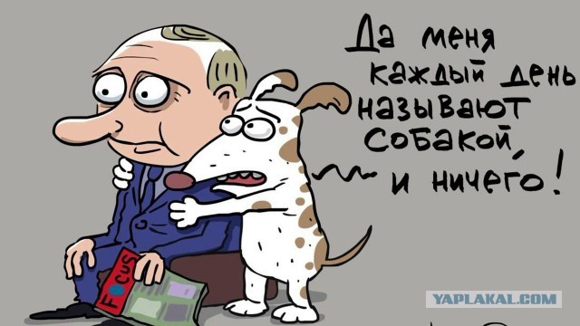 И в самом деле