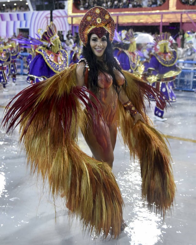 Карнавальных птичек пост