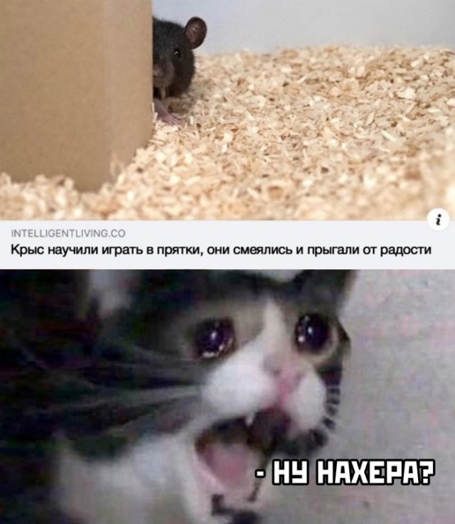 Картинки 11.02