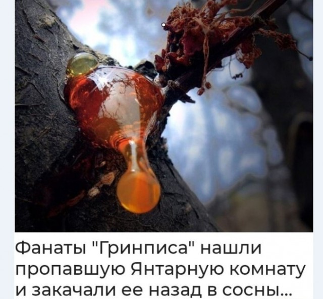 Картинки и мемы для настроения 019