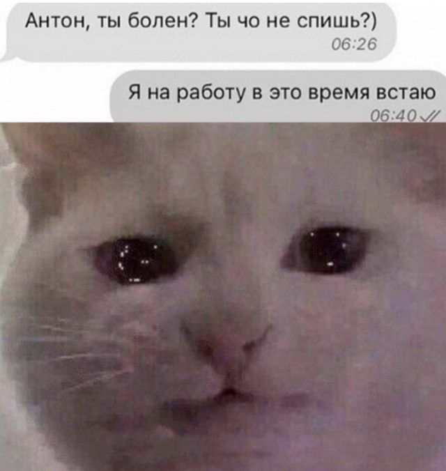 Так себе картинки 06.03.21