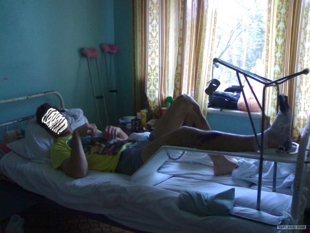 Жив! Цел! Олень!