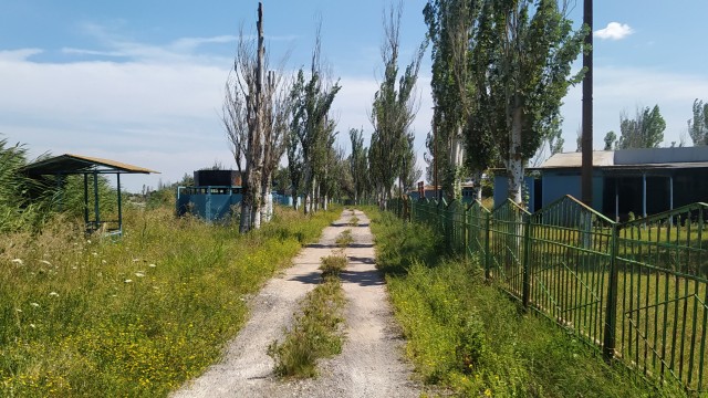 Впервые, спустя 40 лет после окончания школы, пошел на встречу одноклассников. Разочаровался. Лучше бы не ходил...