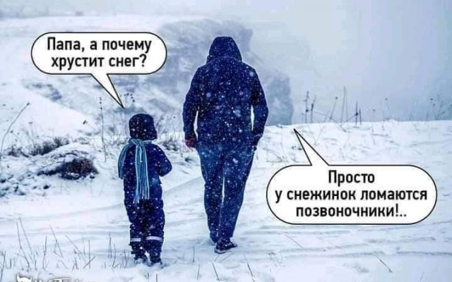 Баянисто-небаянистый юмор 17.11.21