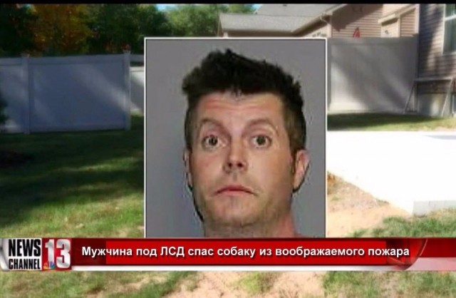 Подеградируем, побаяним...