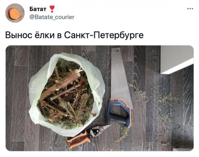 Баянисто-небаянистый юмор 7.02.22