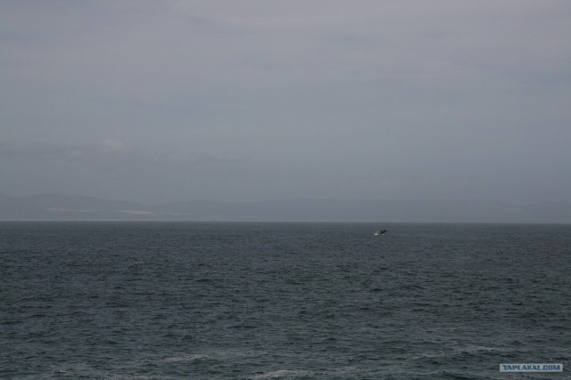 ЮАР, Замбия, Ботсвана