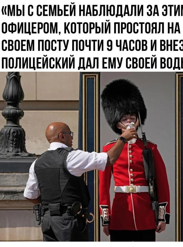 Так себе картинки 22.07.22