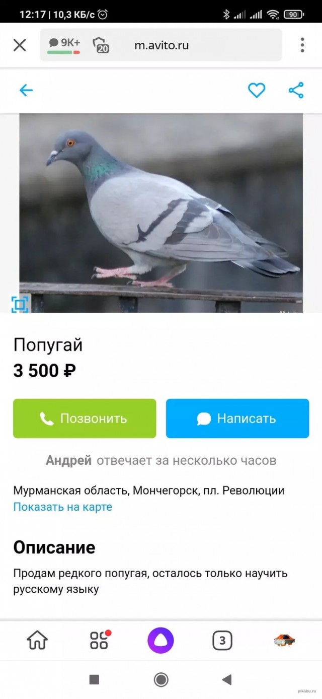 10+ объявлений с известного ресурса, которые опубликовали люди с отличным чувством юмора