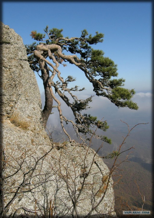 Крым. Южный Демерджи. Вершина.