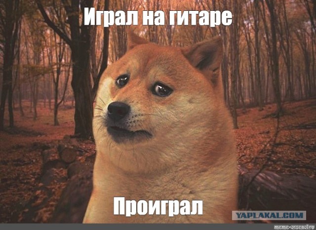 Друзья! Помните я собирал средства на поездку в Москву?