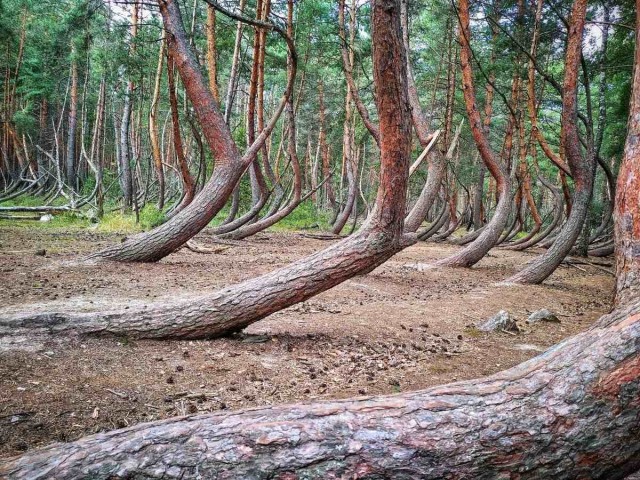 Редкие природные явления
