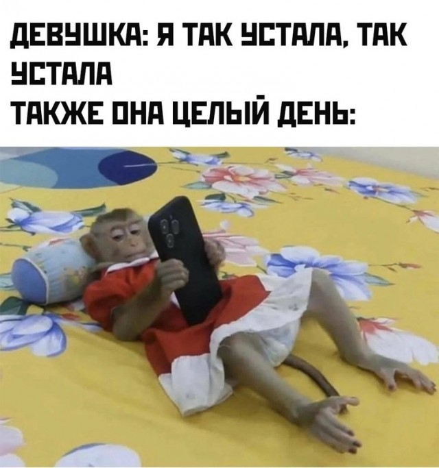 Немного картинок для настроения - 139