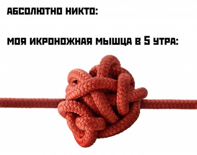 Картинки и мемы, всем хороших выходных
