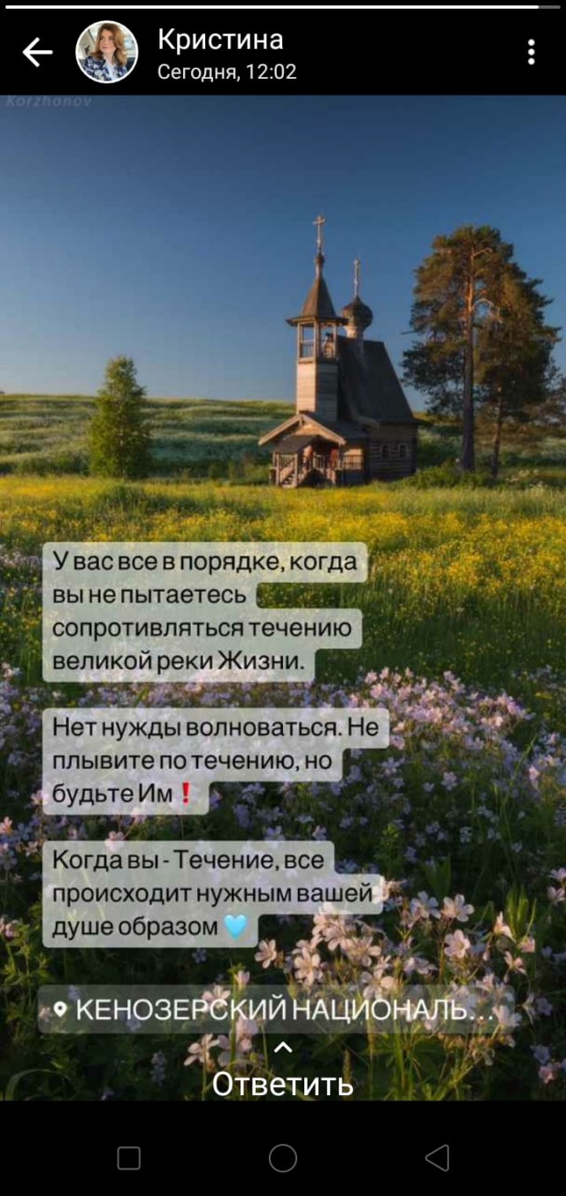 Победная поступь идиотизма по планете – том 15