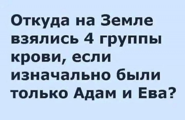 Слава богу, я безбожник #7