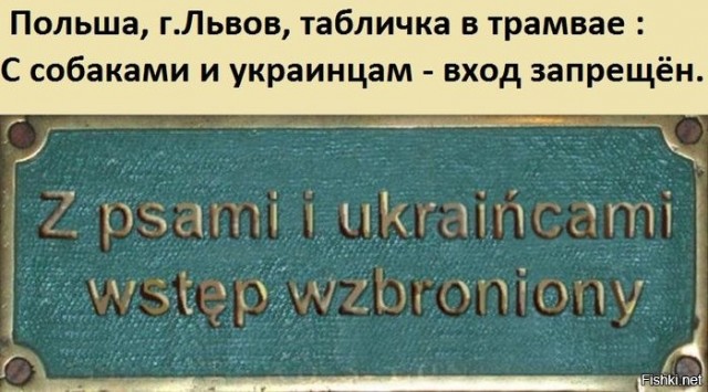 Российские войска прорвали оборону под Авдеевкой