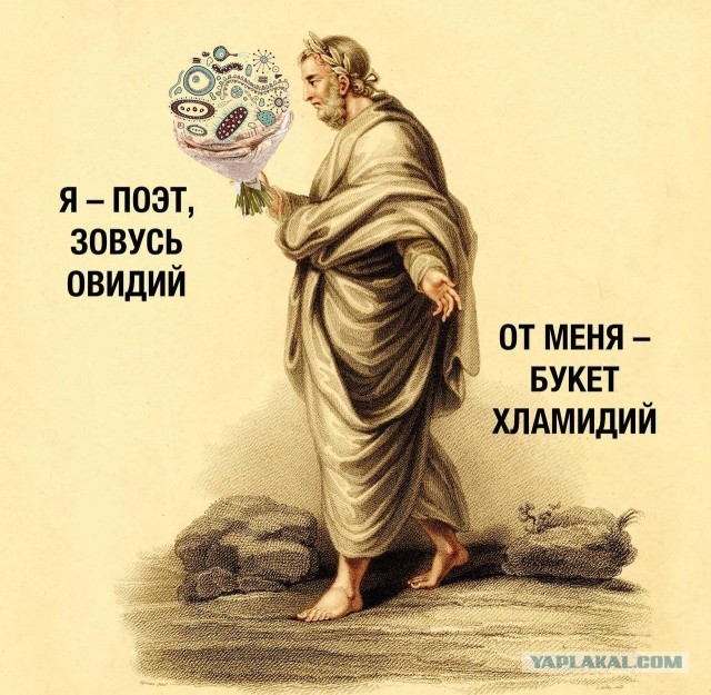 У дам на возраст свой иммунитет! Не чувствуют они себя на столько лет