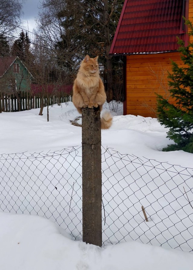 Вот, пришёл