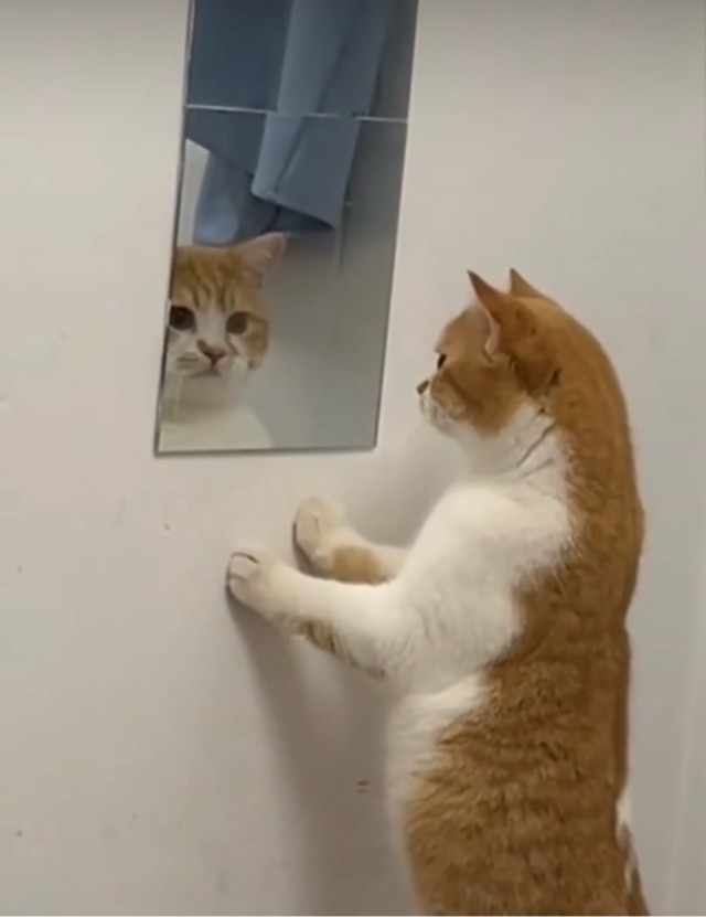 ФотоВинегрет