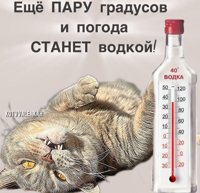 Про жару