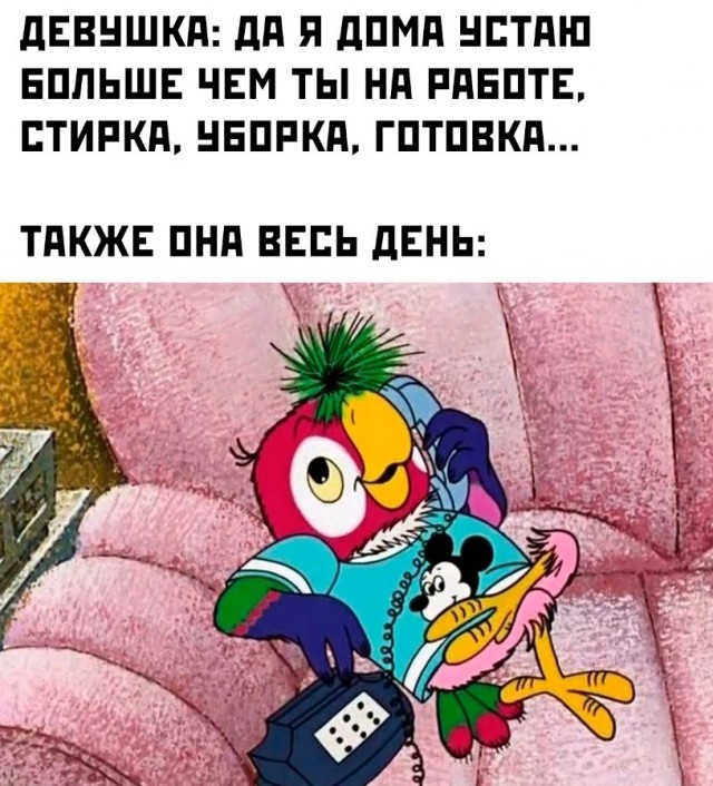 Весёлый полтишок 26.07.24