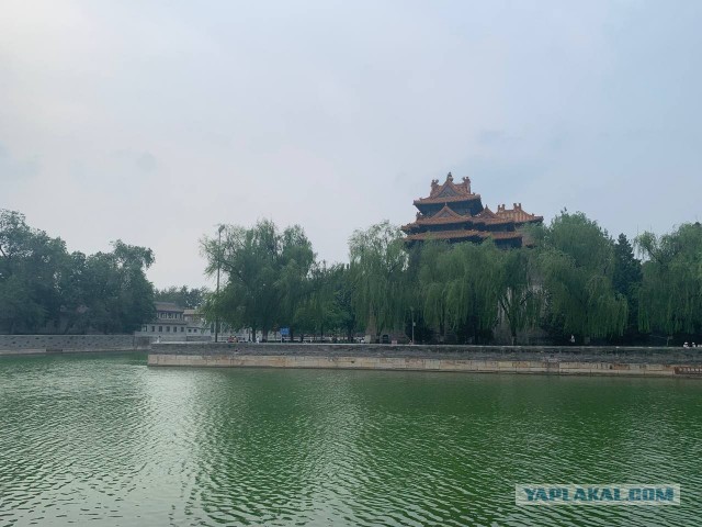Китай. Пекин-Бэйдайхэ 20024 China.  Beijing-Beidaihe 20024 中国。北京北戴河 20024