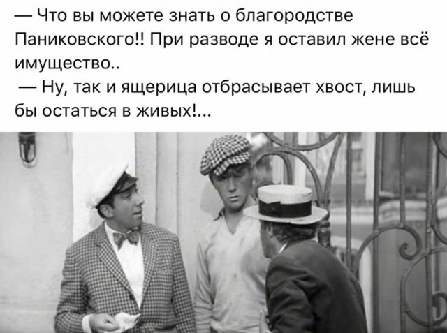 Прикольные и просто красивые картинки 21.01.2025