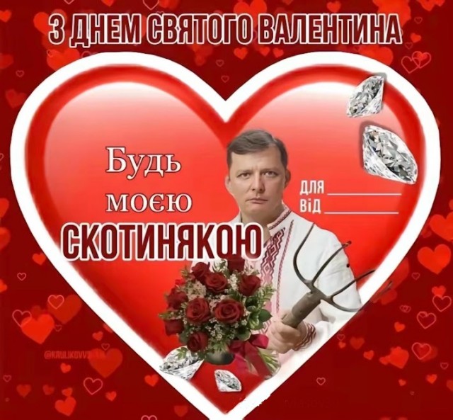 Веселые картинки в пятницу (14.02)