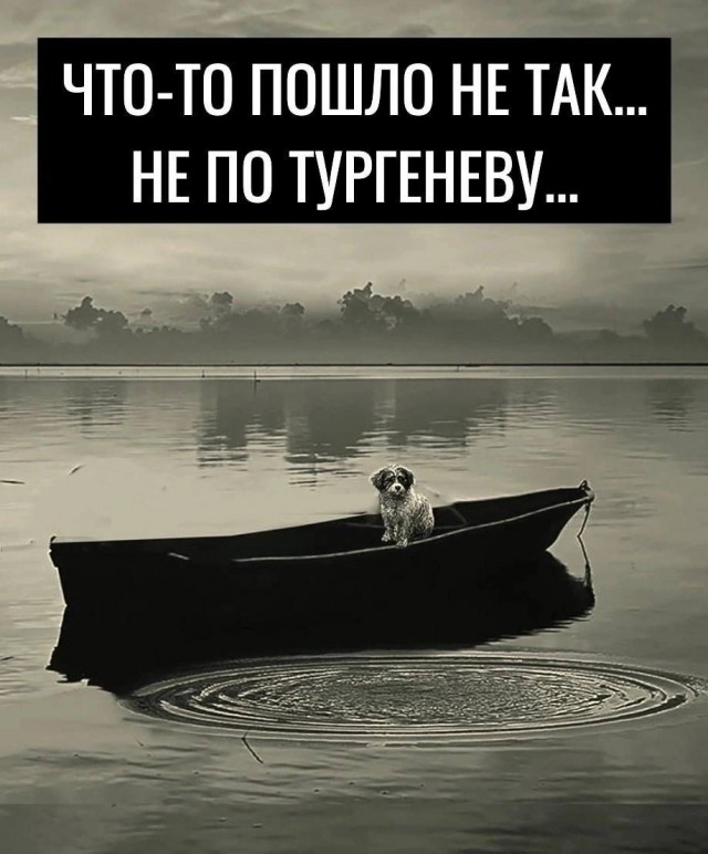 Так себе картинки 27.05.25