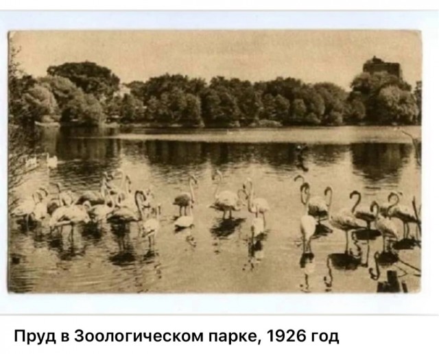 Москва и москвичи. Двадцатый век. 17.06.25