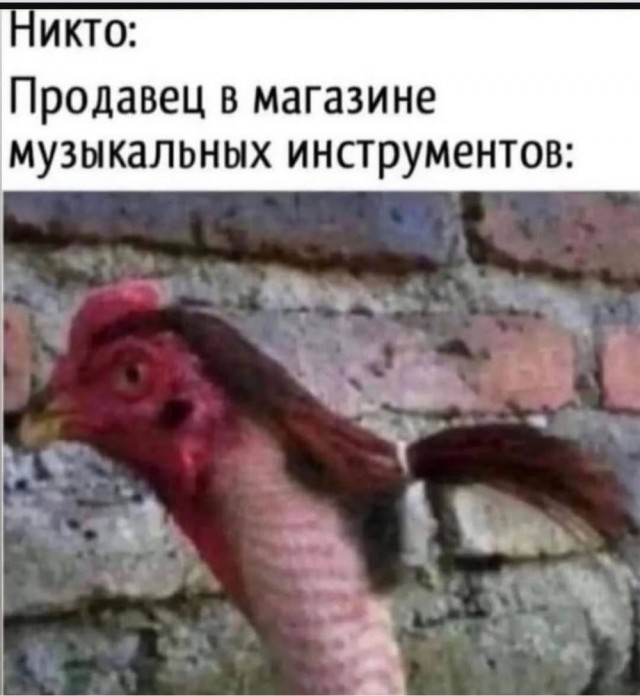 Быстрая деградация