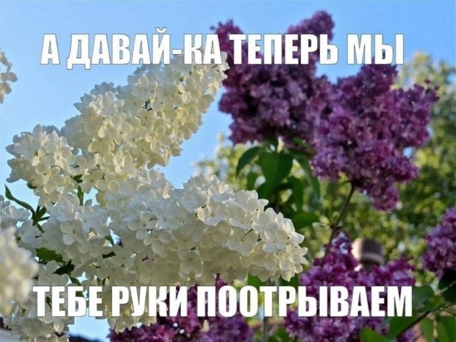 Нуштош 29.07.2025. Отделение цирка от государства (s4e5)