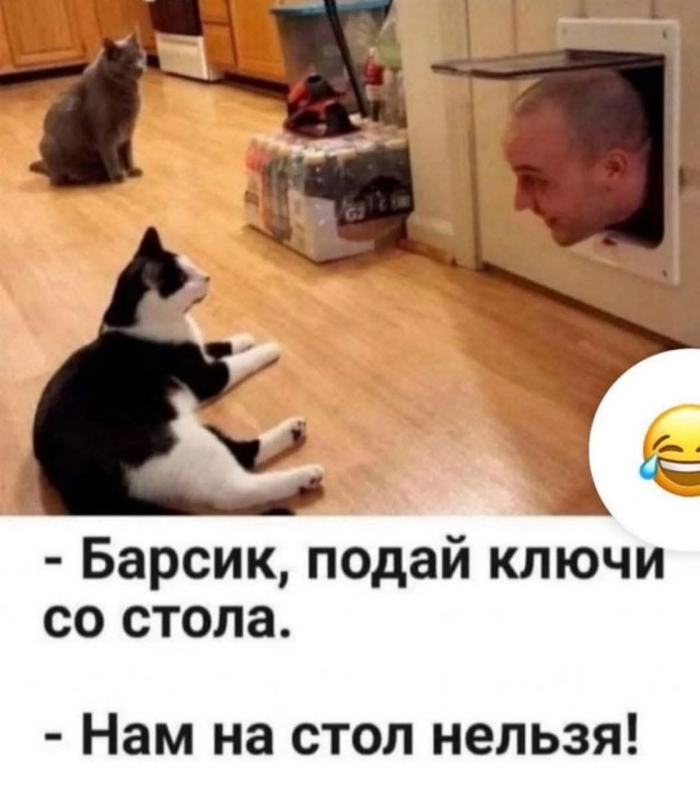 Картинок немного в среду утром