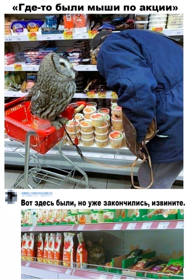 Немного картинок накануне выходных