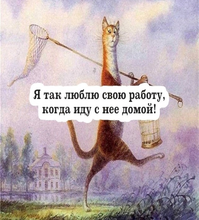 20418372.jpg