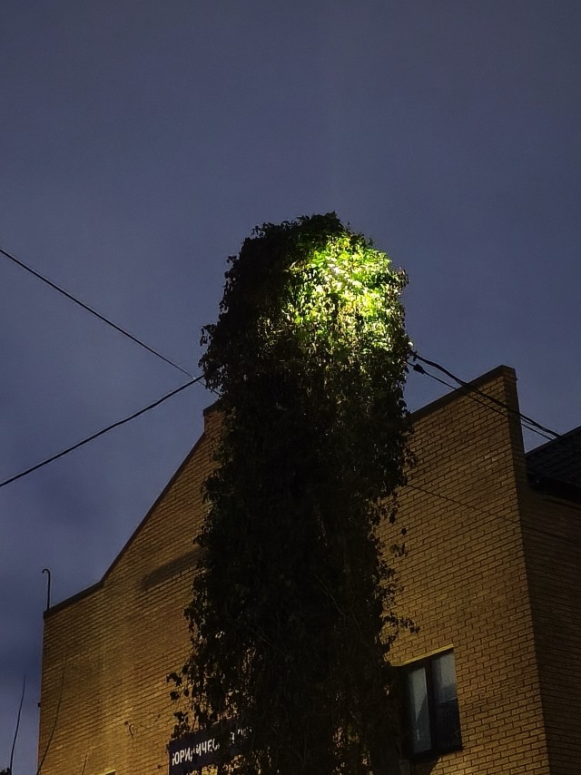 Ночь.Улица.Фонарь