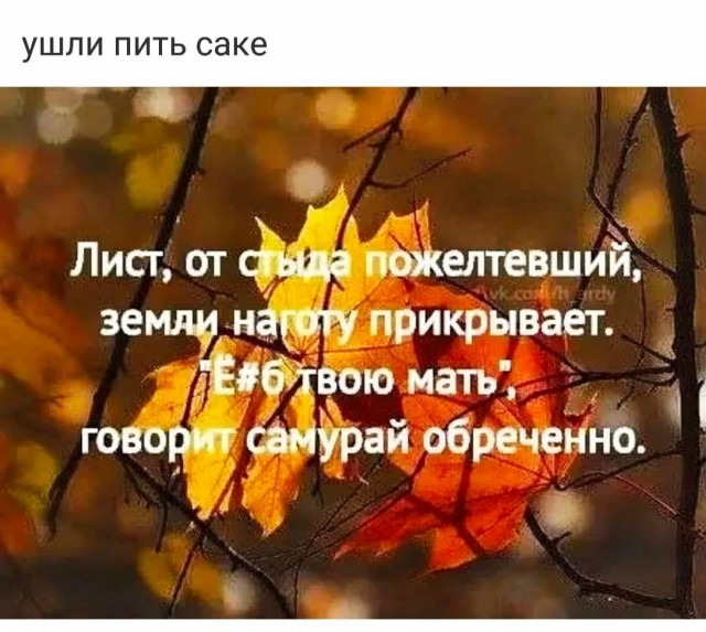 Наскрябыл немного